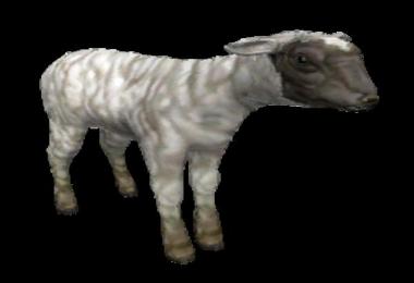 Building lamb giant editor v1.0