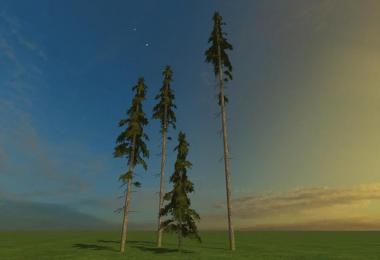 Fir Tree Set v1.0 Beta