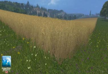 Forgotten Plants Wheat Barley v1.0