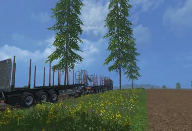 MAN Double Log Train v1.2