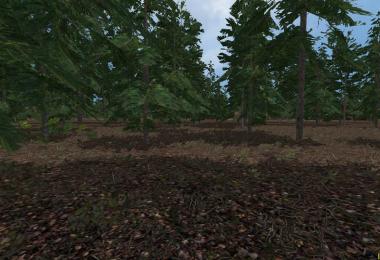 Papenburg North Bokel v1.5