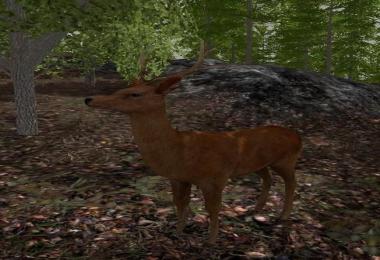 Forest Animals v1.0