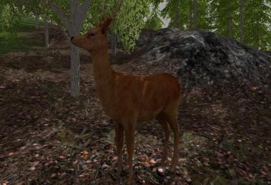Forest Animals v1.0