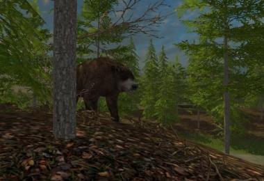 Forest Animals v1.0