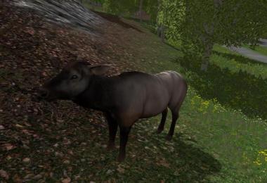 Forest Animals v1.0