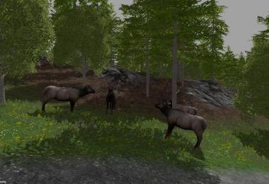 Forest Animals v1.0