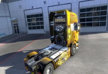 Boston Bruins Skin