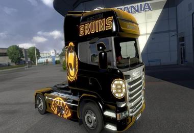 Boston Bruins Skin