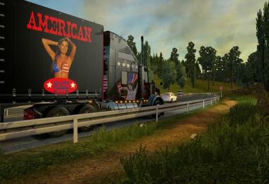 Kenworth T800 USA Metallic Skin