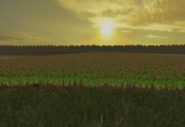 North Brabant edition v1.4