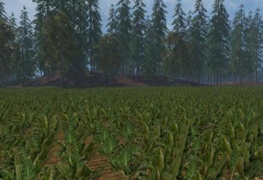 North Brabant edition v1.4