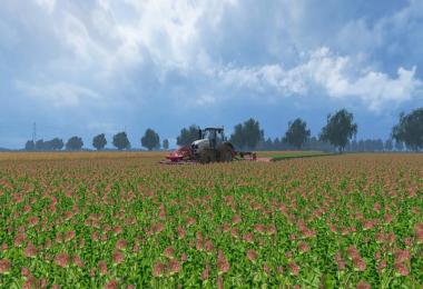 North Brabant edition v1.4