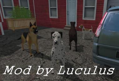 Placeable dogs v1.0