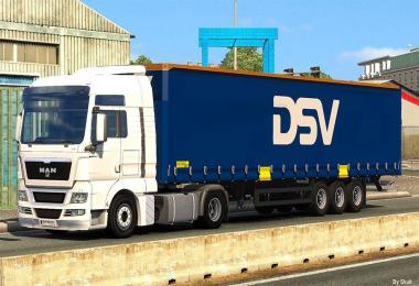 Skin DSV for Schmitz trailer