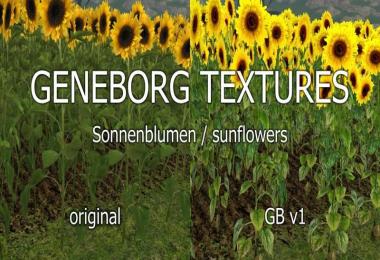 Sunflowers v1.0