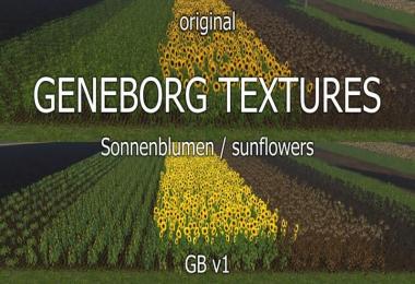 Sunflowers v1.0