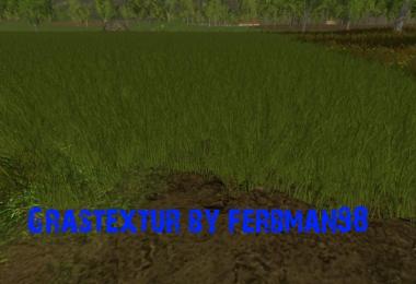 Grass texture v1.0