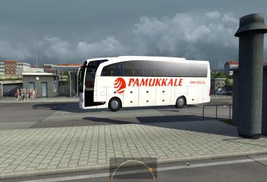 Bus passenger transport and terminal mode 1.16.X