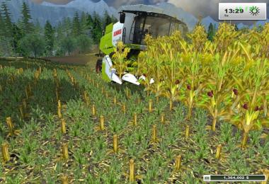 Fresh corn v1.0