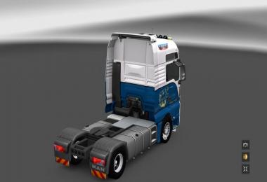 Skin and Interior v1.0