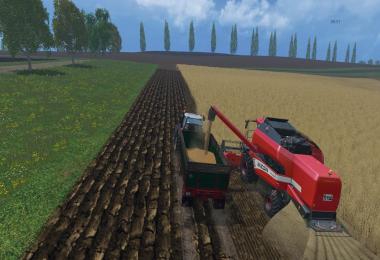 Bizon TC590 Prototype