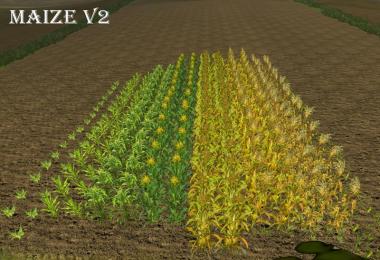 Fresh corn v2.0