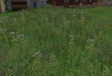 My edited starter map v1.0