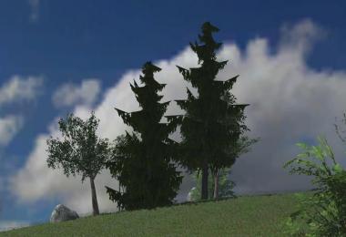 Tullau Hohenberg v1.0