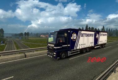 MAN Euro 6 Dettendorfer Metallic Skin