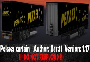 Pekaes curtain by Barttt 1.17