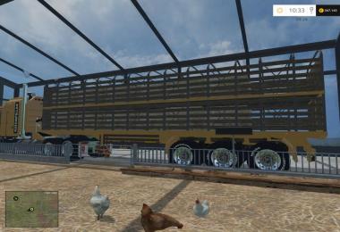 Cat loaders v1.0