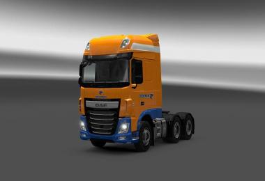 DAF XF Euro 6 Dedeman Skin