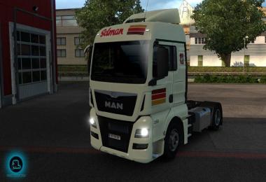 Selman Transporten MAN TGX Euro 6 skin