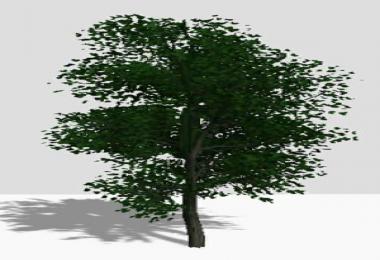 Tree and Staucherset v1.0