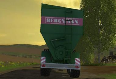 Bergmann GTW430 v2.0