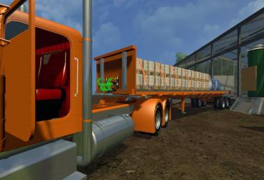 Custom Peterbilt v1.0