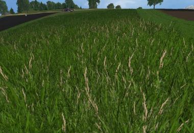New grass texture v1.0