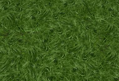 New grass texture v1.0