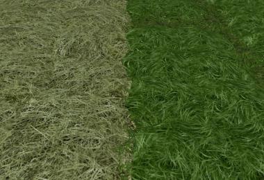 New grass texture v2.0
