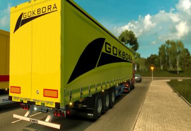 Profiliner Turk Lojistik Sirketleri trailers