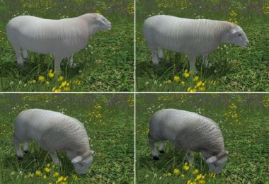 Trusty Sheep v2.0.1