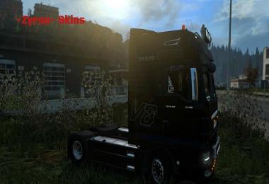 MAN TGX Black V8 Skin