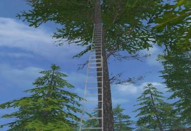 Scaffolding and ladders v1.0