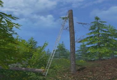 Scaffolding and ladders v1.0