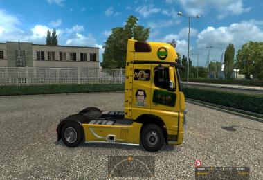 Skin New Actros (2014) WoBra v1.1