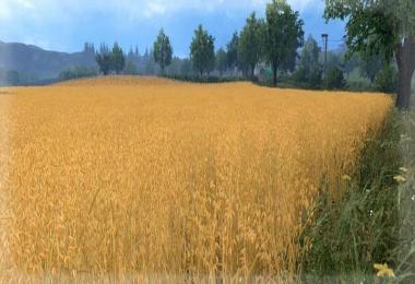 Belgique Profonde v2.5