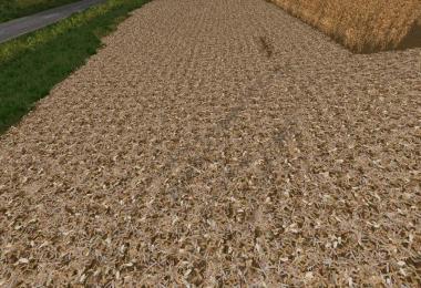 Corn textures v1.0