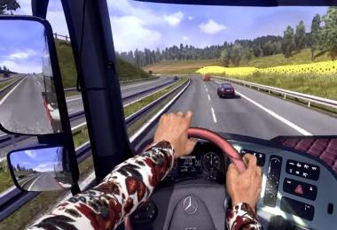 Hands on Steering Wheel v1.0