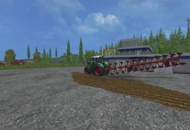 Maschio lelio XXL 12