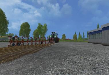 Maschio lelio XXL 12